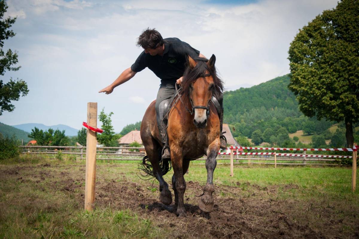 &bullet;  Fotó: Lukácsi Lehel