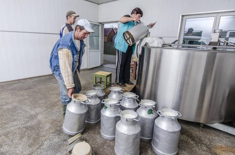 Fejlesztenek, hogy a megtermelt tejet megfelelően dolgozzák fel