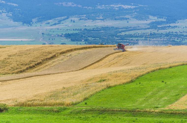 Átlagosan több mint tízezer lejes gázolajár-támogatást kapnak a gazdák a második negyedévre