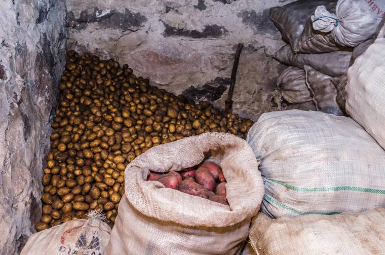 Nem várják a drágulást: túladnak a pityókán