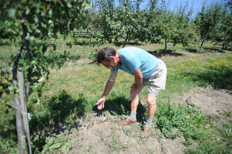 Kárpótlást kapnak a gazdák az aszálykárok miatt