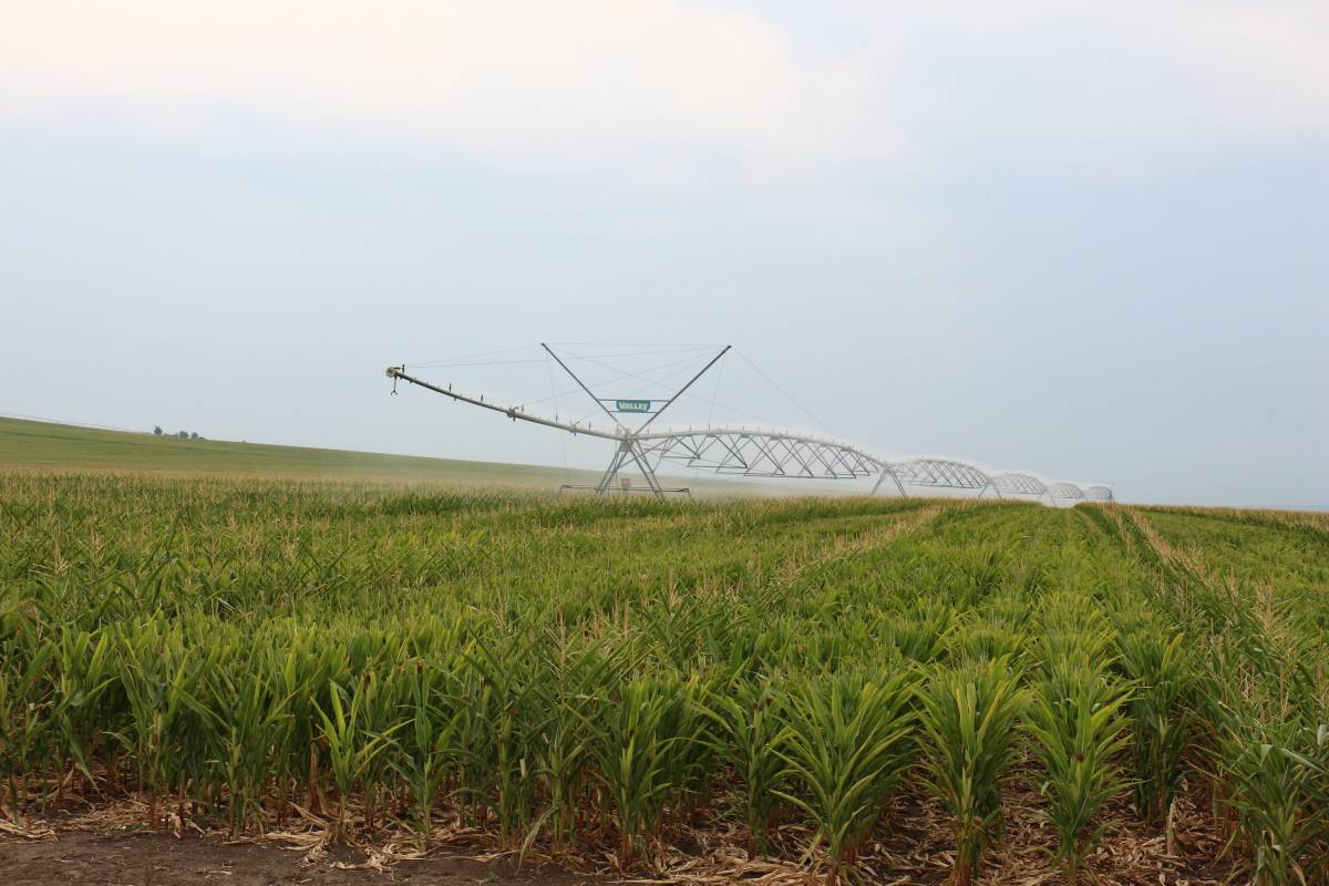 &bullet;  Fotó: ziarulevenimentul.ro