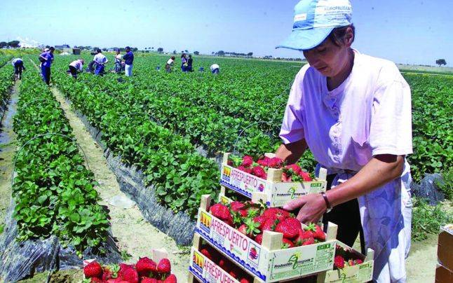 „Útiterv” a román diaszpóra hasznosítására