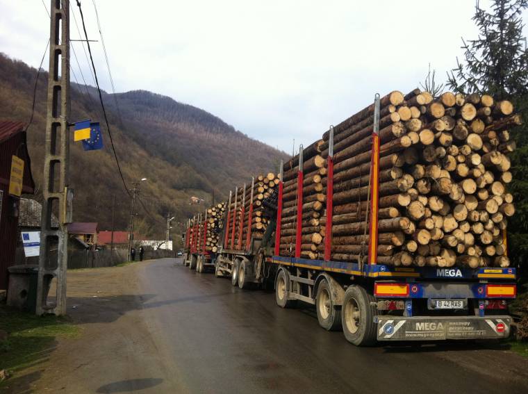 Betiltaná a román faexportot a Ponta-kormány
