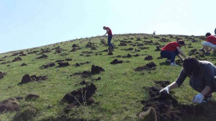 Faültetési kampány indult Erdély-szerte