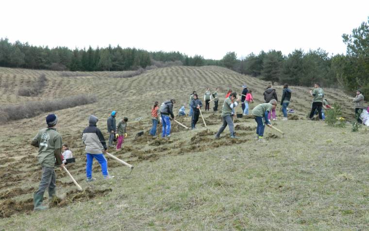 Faültetési kampányt hirdet a környezetvédelmi minisztérium