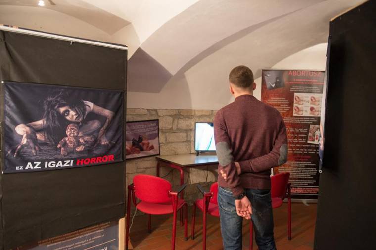 Sokkoló, nevelő célzatú kiállítás nyílt Kolozsváron