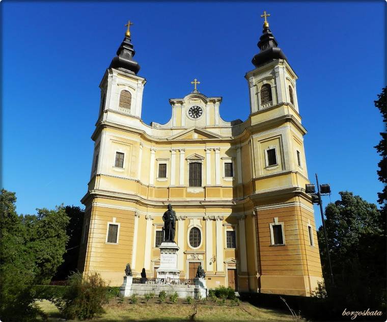 Nem várt támogatás a nagyváradi bazilikának