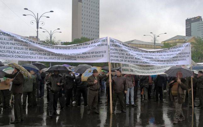 Az erdészeknek is elegük lett a fosztogatásból
