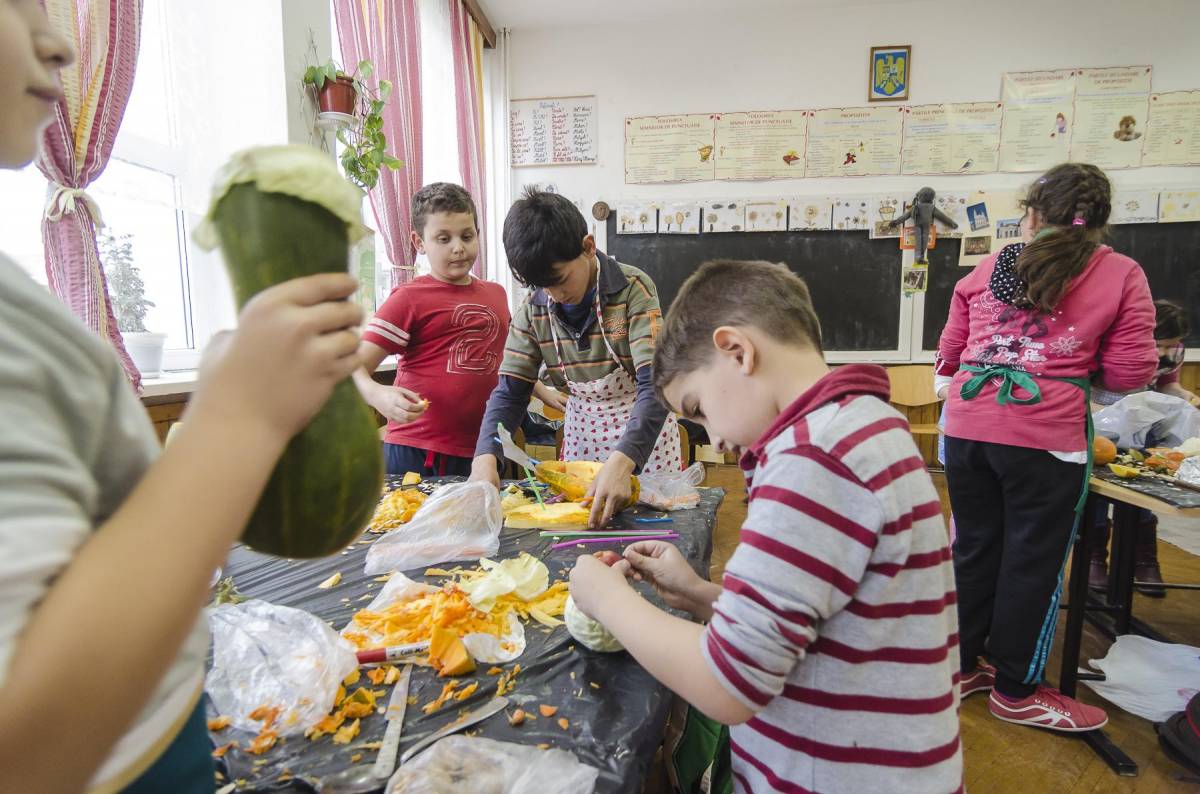 • Fotó: Veres Nándor