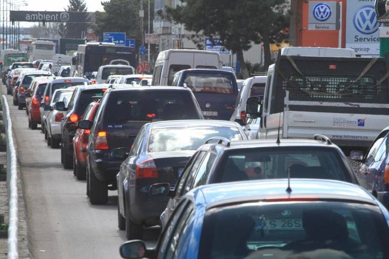 Pár lejes zöldmatrica követheti az eltörölt regadót