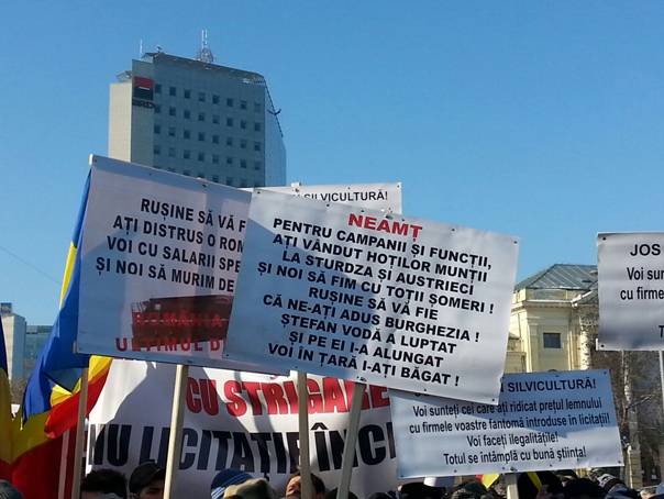 Csődtől tartanak a Bukarestben tüntető fafeldolgozók