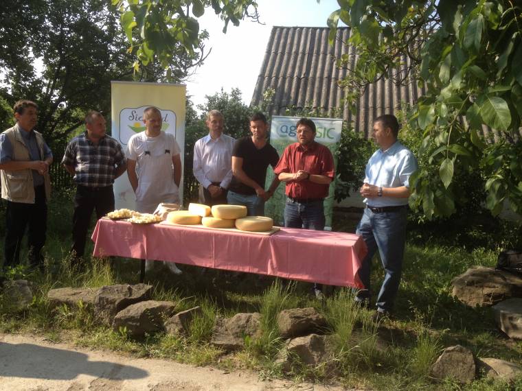 Válasz a tejválságra: szövetkeztek az illyefalvi gazdák