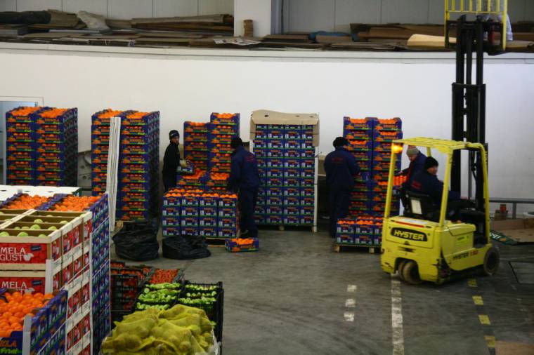 Szúrópróbaszerűen ellenőrzik az import zöldséget és gyümölcsöt