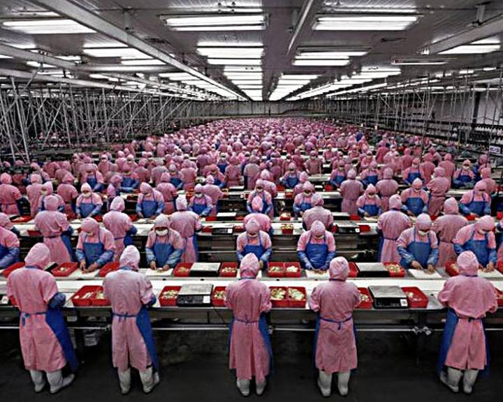 Világszerte hiányoznak a minőségi munkahelyek