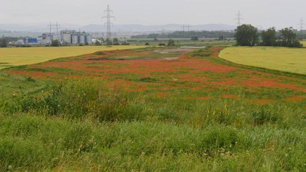 &bullet;  Fotó: asociatia pro infrastructura