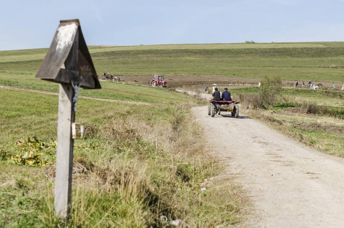 &bullet;  Fotó: Veres Nándor