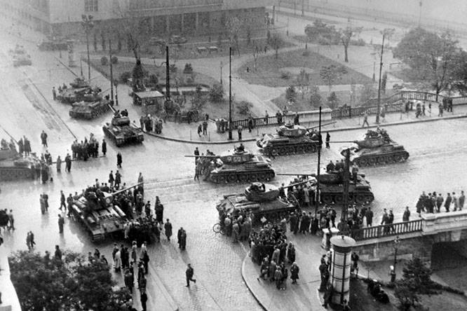 Énekesmadár a tigris karmában