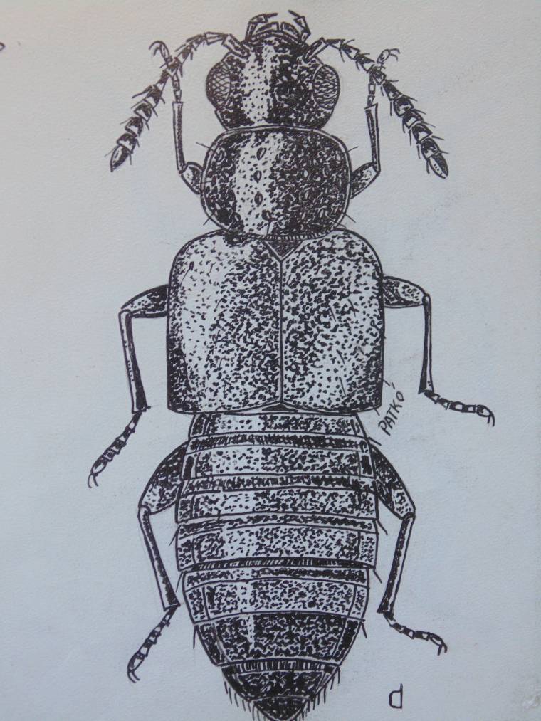 Egy felfedezés margójára