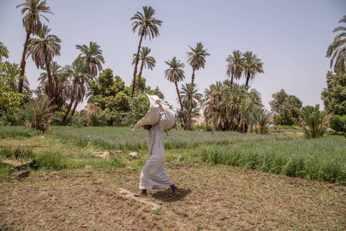 &bullet;  Fotó: mti