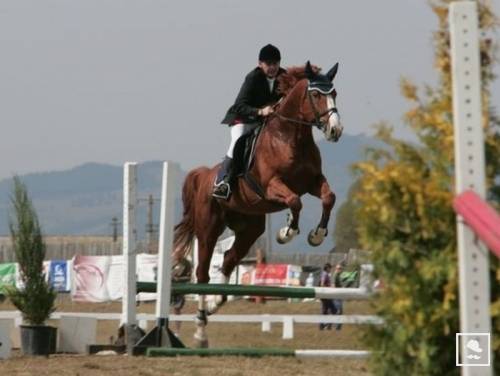 Székelyföldi Lovas Ünnepet szerveznek  Gyergyószentmiklóson