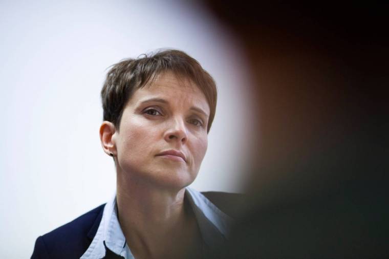 Migránsok közé lövetne egy német politikus