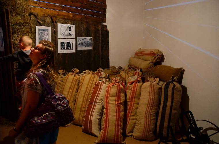 Asszonysors betondzsungelben