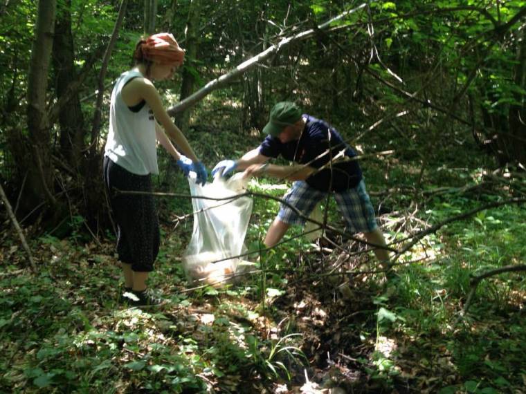 Erdőtakarítás a Kolozsvár melletti Bükkben