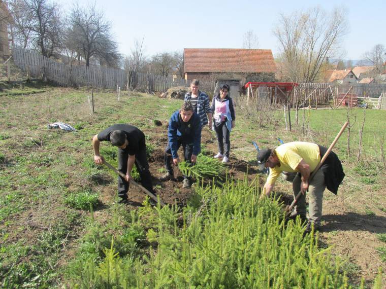 Fákat ültettek Böjte Csaba gyergyói árvái