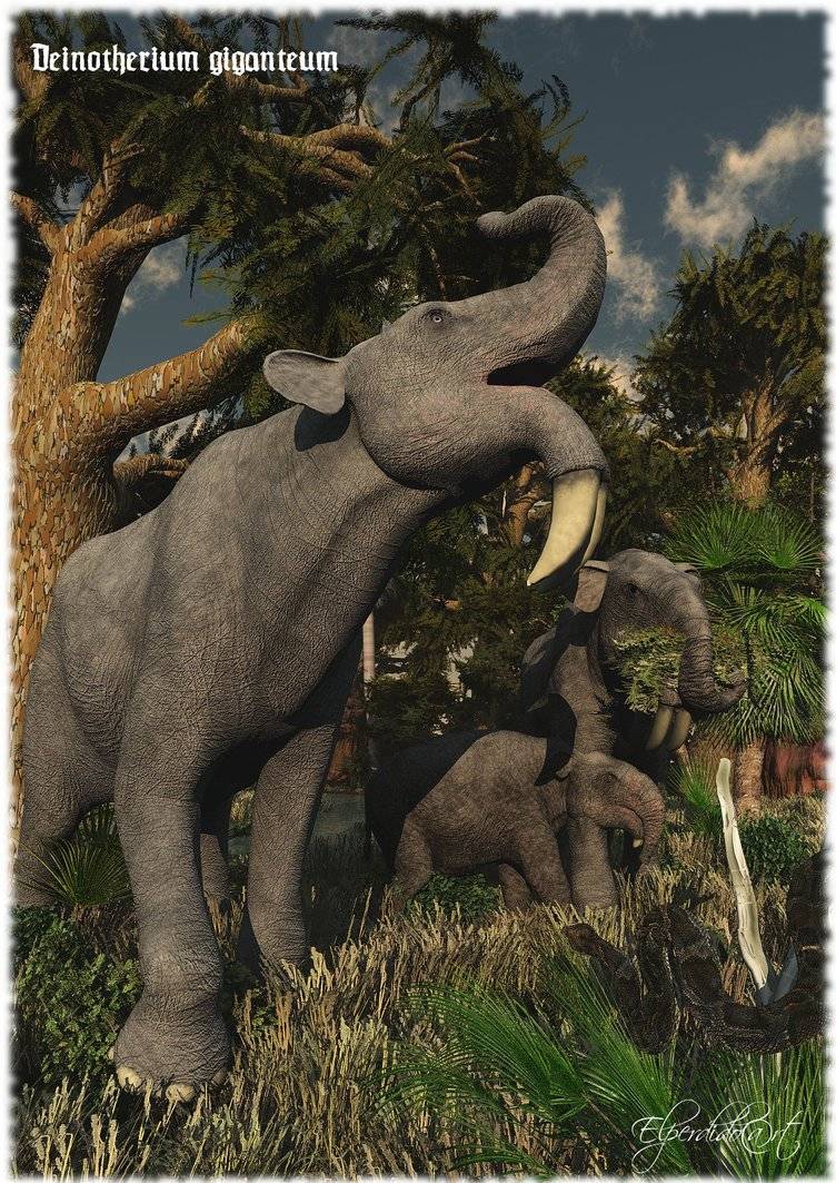 Őselefánt csontjaira bukkantak Vaslui megyében