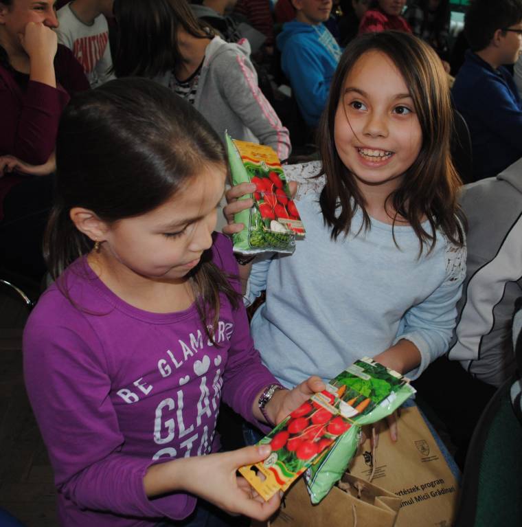 Kiskertészek Csíkszeredában