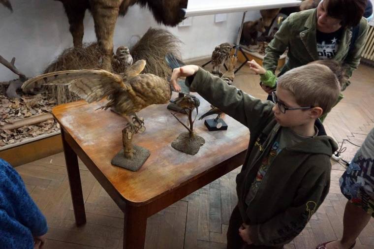 A jégmadár a legszebb kedvenc – Madarak, fák napja Szentgyörgyön