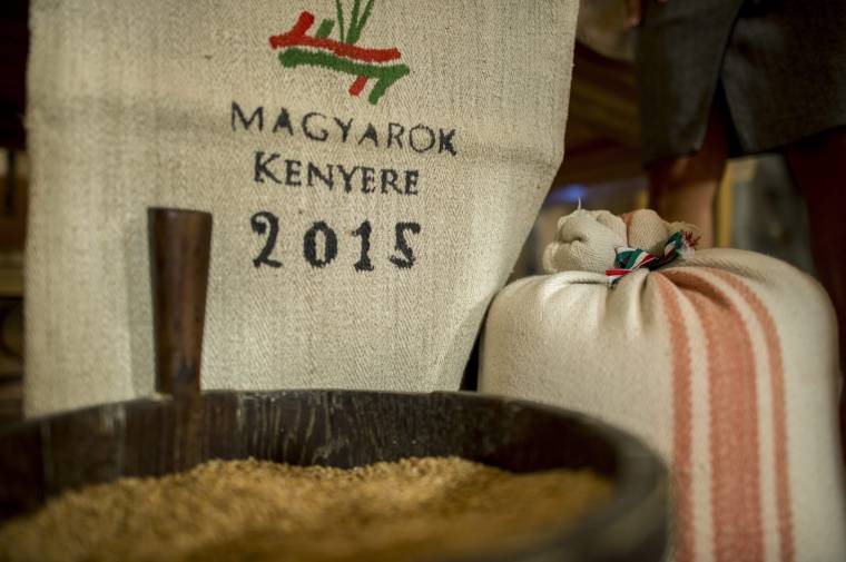 Nagy közös mindennapi