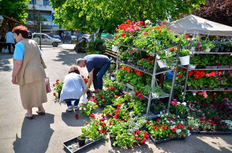 Virágba borult a Bethlen negyedi park Udvarhelyen