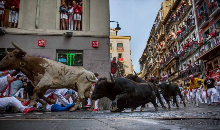 Idén kilenc embert öklelt fel bika a pamplonai fesztiválon