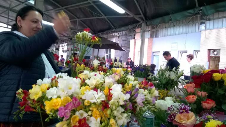 Nárcisz nőknek, Zoltánoknak