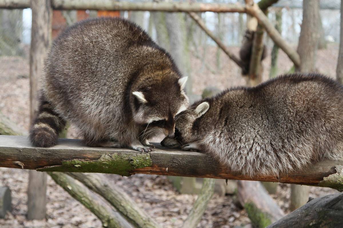 •  Fotó: Boda L. Gergely