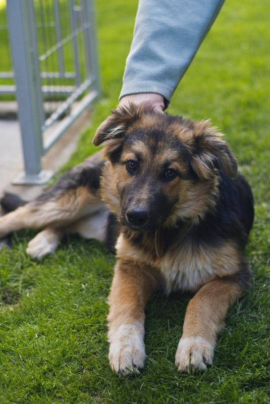 •  Fotó: Veres Nándor