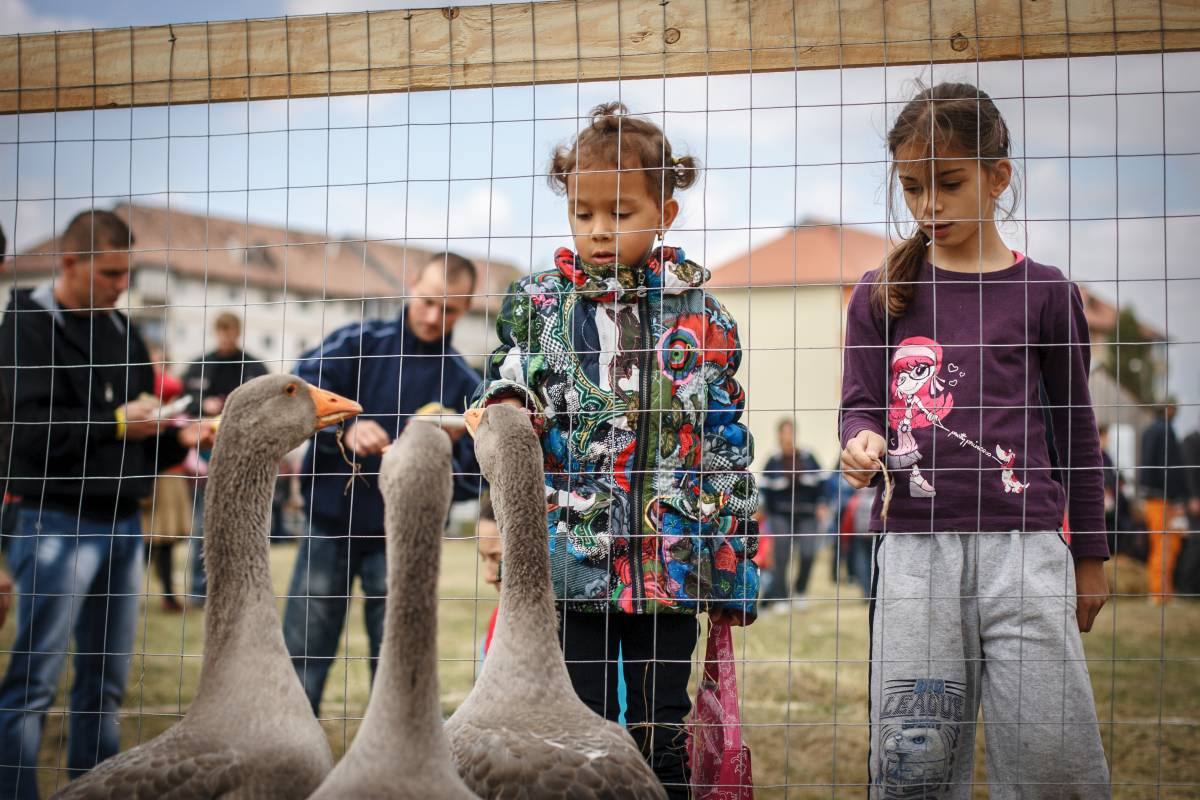 &bullet;  Fotó: Mihály László