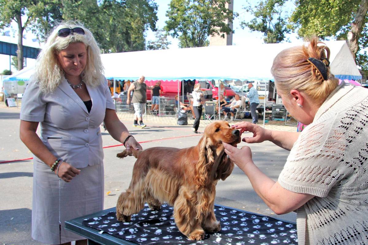 &bullet;  Fotó: Boda L. Gergely