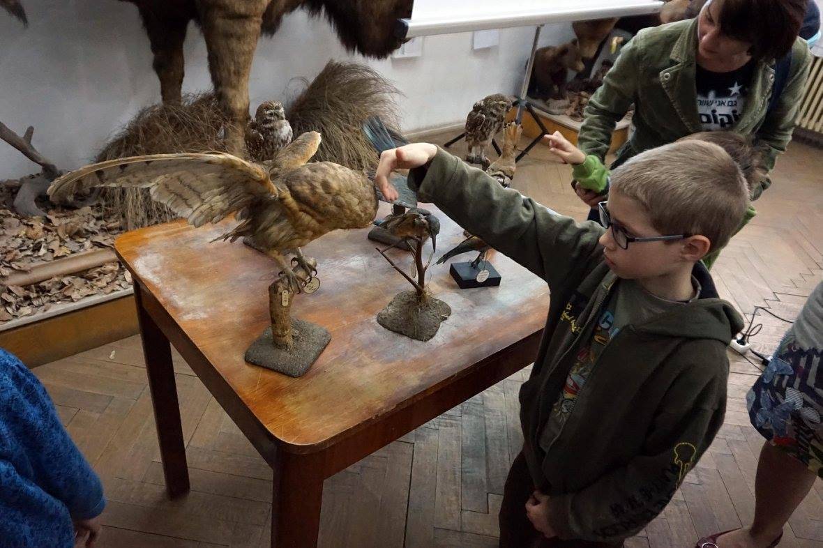 •  Fotó: szekely nemzeti muzeum