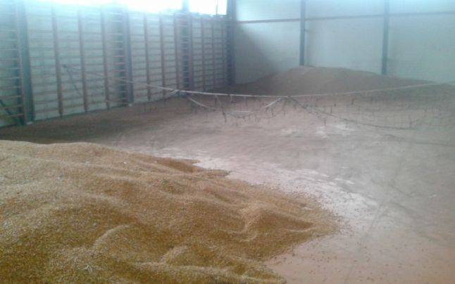 &bullet;  Fotó: Remus Florescu/Adevărul