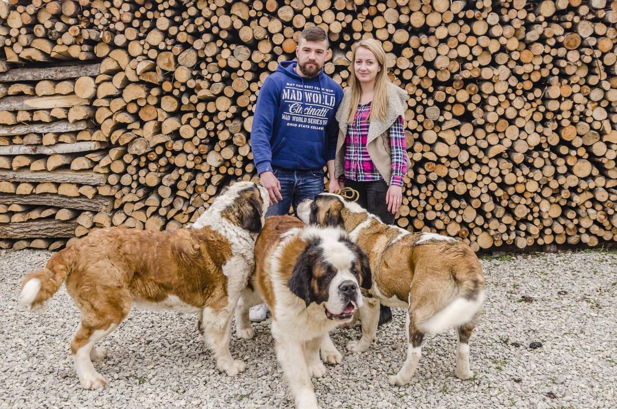 • Fotó: Veres Nándor