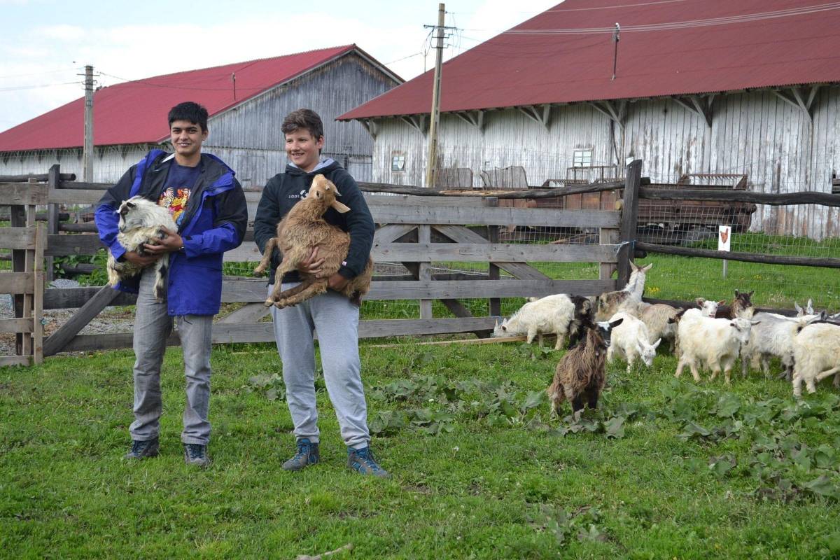 •  Fotó: Pethő Melánia