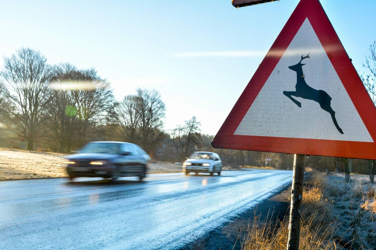 •  Fotó: Mihály Csaba