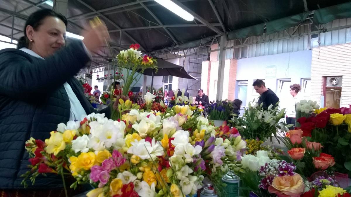 •  Fotó: Biró István