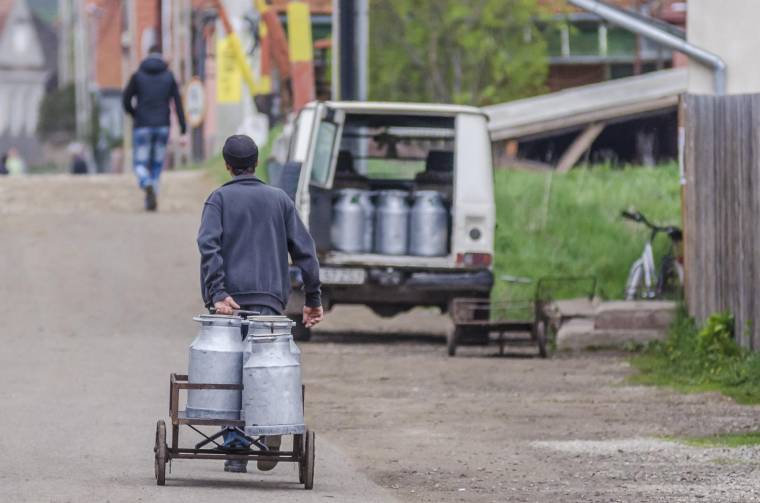 Erdővidékiek csatlakoztak a tejszövetkezethez