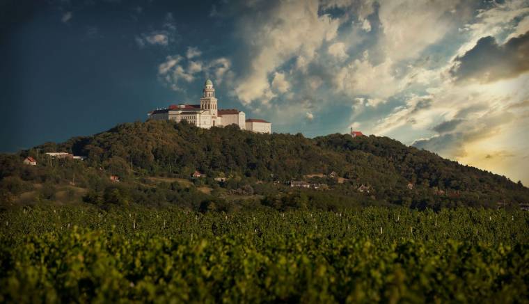 Élő kövek Pannonhalmán