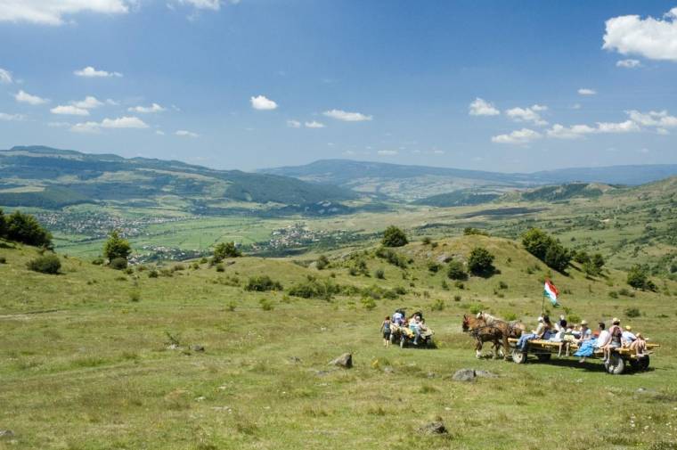 Megkezdték a munkát a Kőrösi- és Petőfi-program ösztöndíjasai
