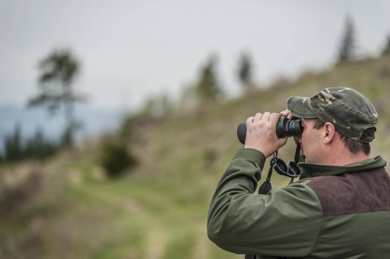 Megkérdőjelezik az erdészeti kihágásokra vonatkozó törvény hatékonyságát